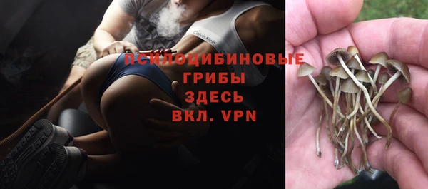 ALPHA PVP Абинск